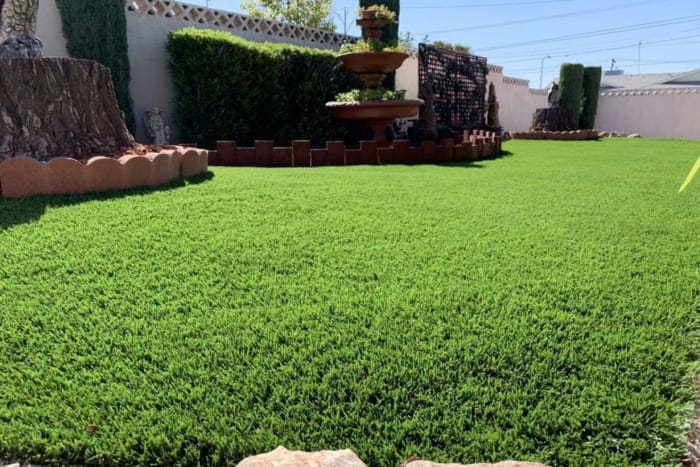 alternative to grass in backyard