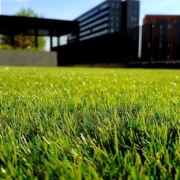 how to install artificial turf on dirt