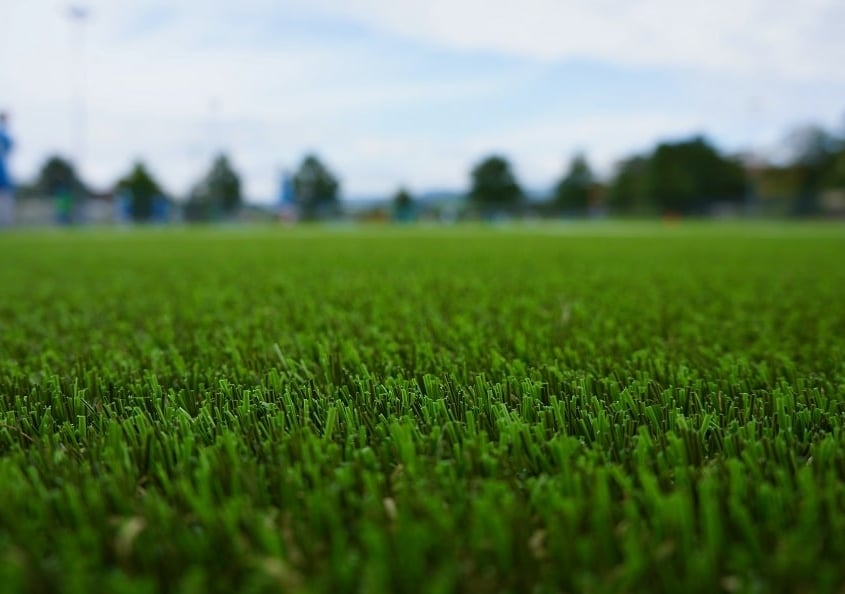 grass alternative ground cover