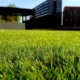 Artificial grass vs Sod