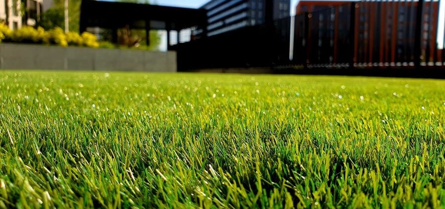 Artificial grass vs Sod