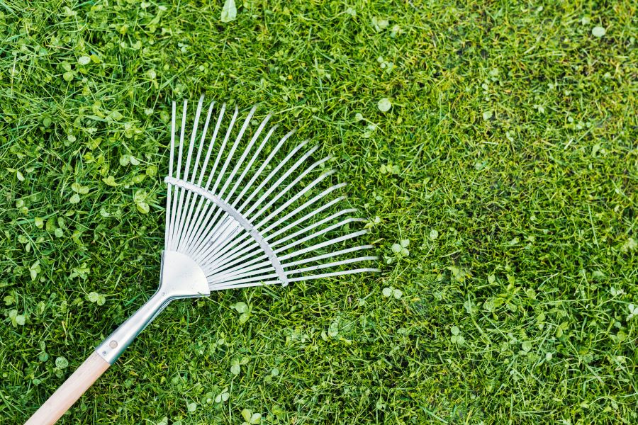 How to Clean Artificial Grass: Step-by-Step Guide | FestivalTurf