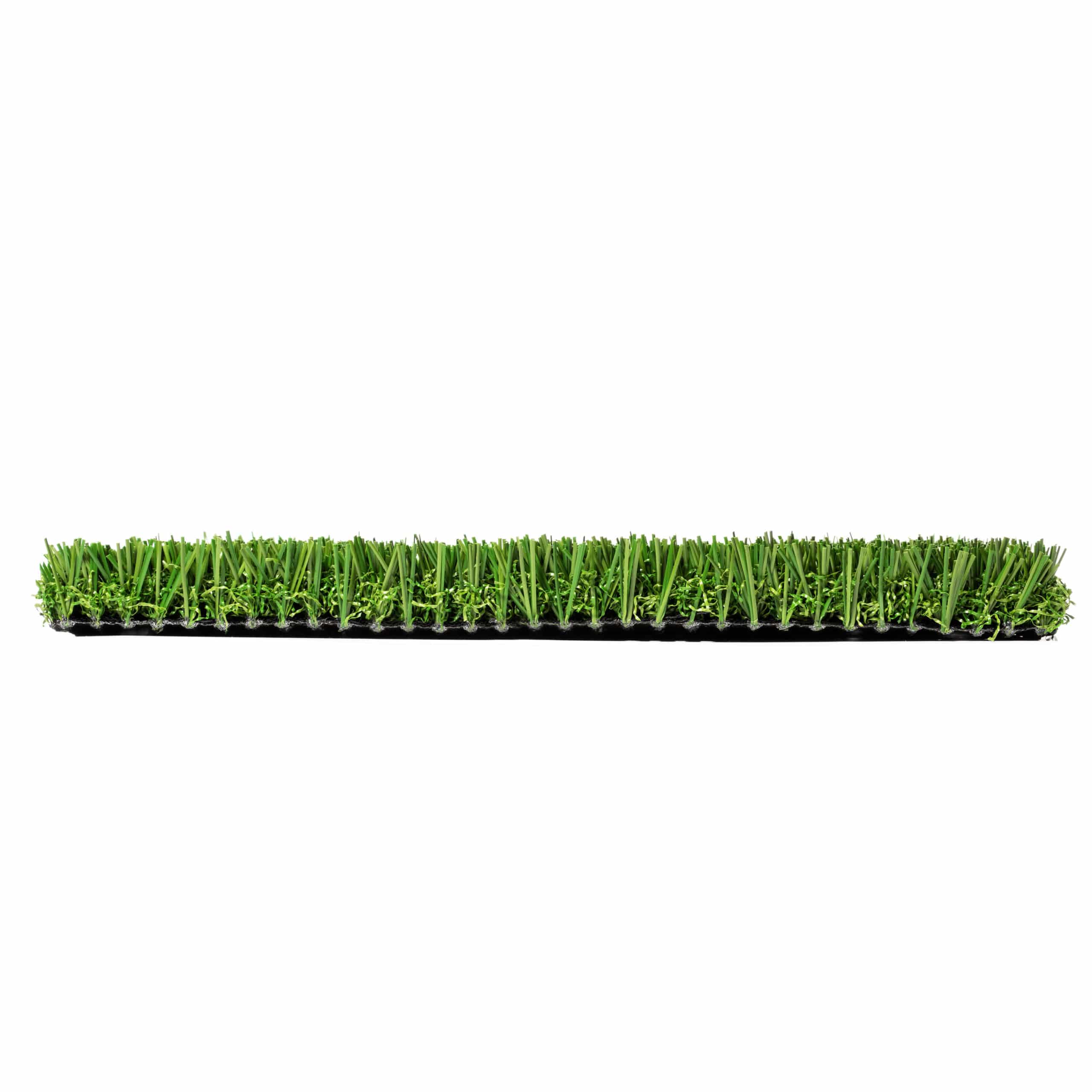 tpc-110-profile TPC-110 profile