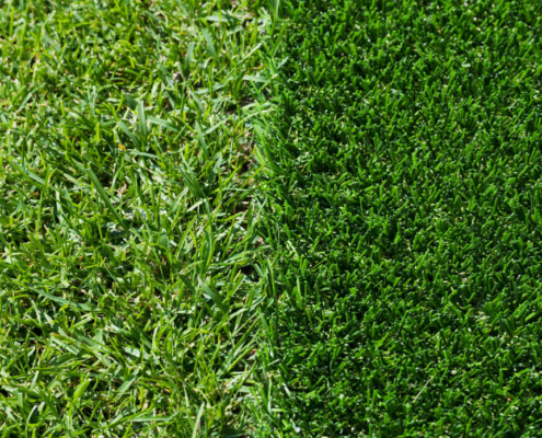 artificial grass next to real grass