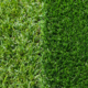 artificial grass next to real grass