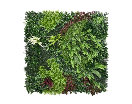 passion-Ivy-category passion-Ivy