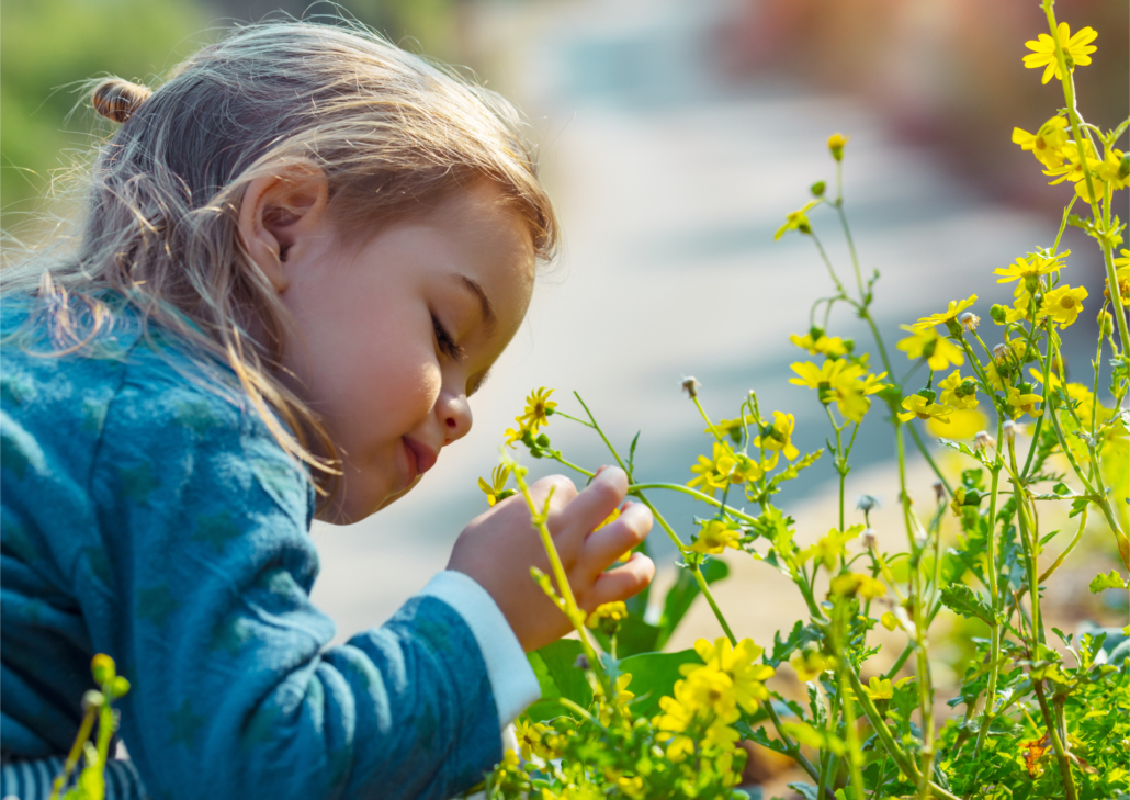 sensory garden