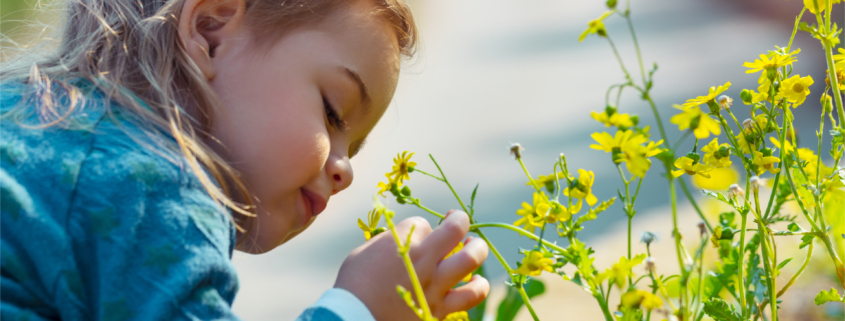 sensory garden
