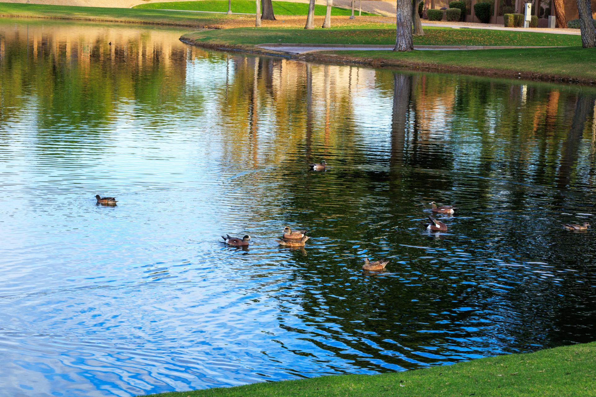 artificial grass los angeles
