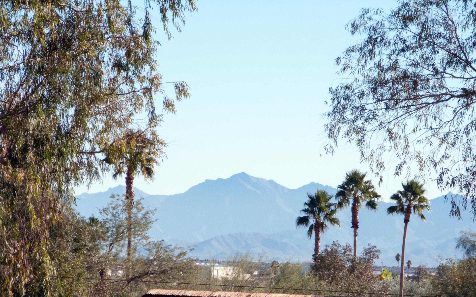 artificial grass tucson