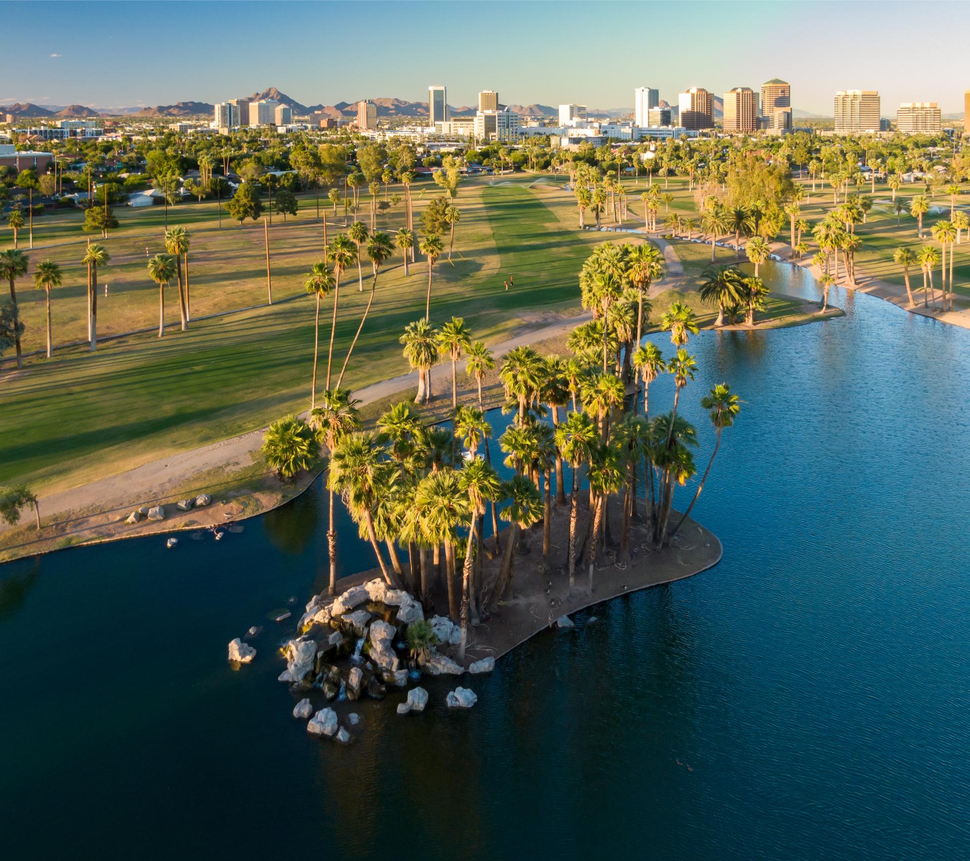 artificial grass tucson