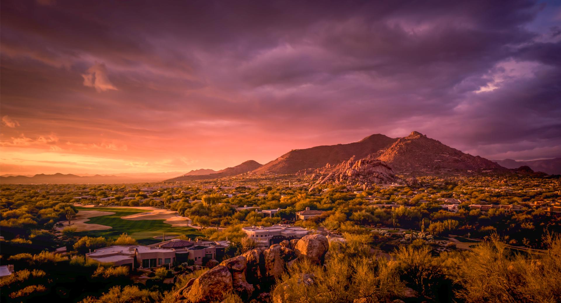 artificial grass tucson