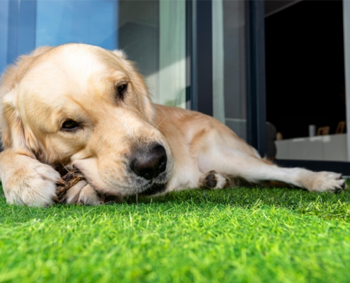 artificial grass calculator