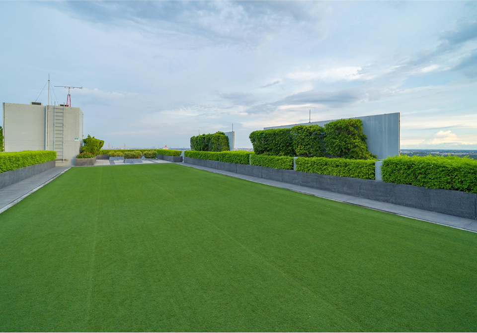 fake grass