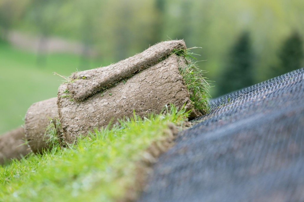 erosion control