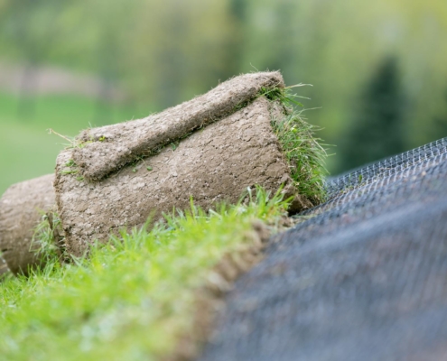 erosion control