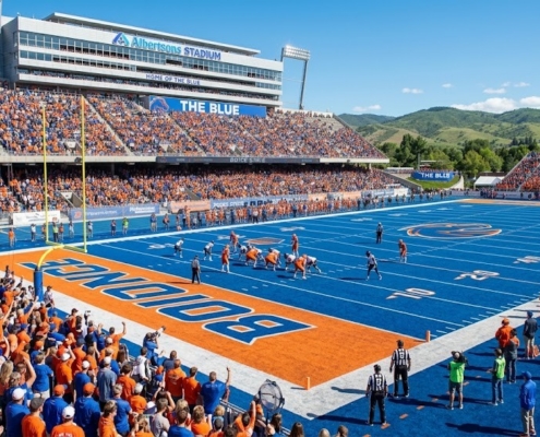 blue artificial turf