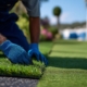 Artificial Turf for Modern Homes