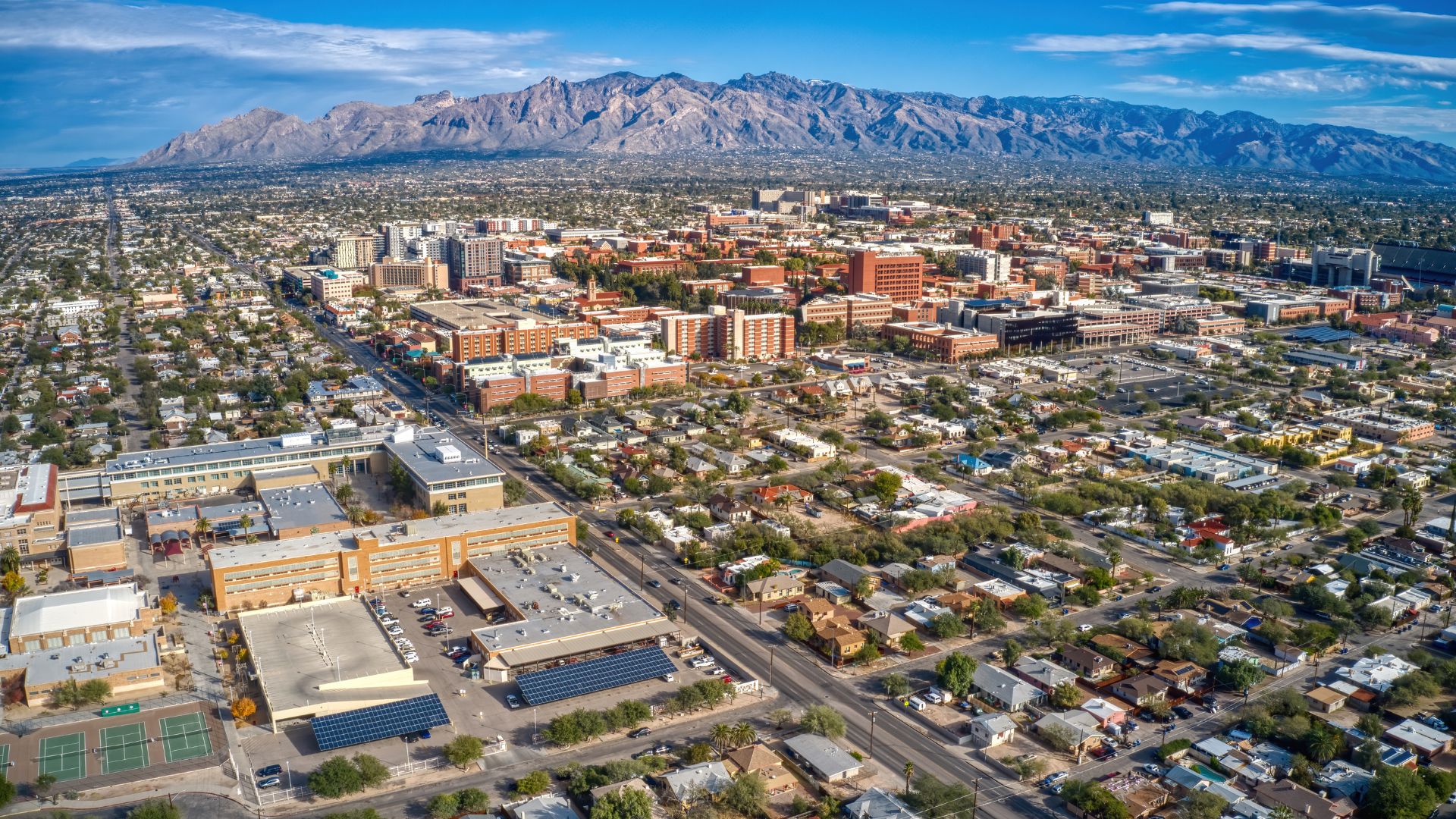 artificial turf arizona