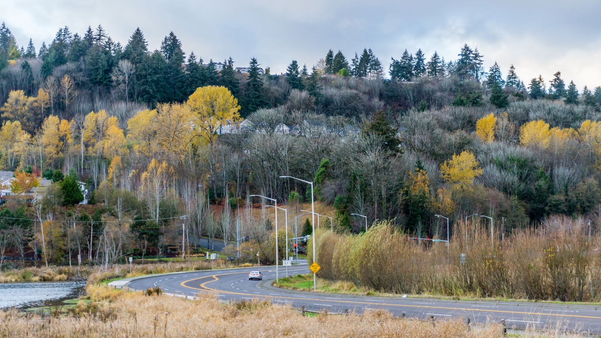 artificial grass washington