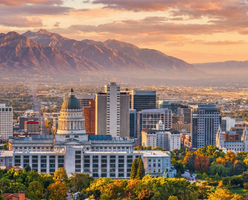 Capitol-Hill artificial grass los angeles