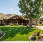 Eagle, id artificial grass Nampa