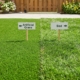 Artificial grass vs sod